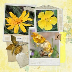 yellow