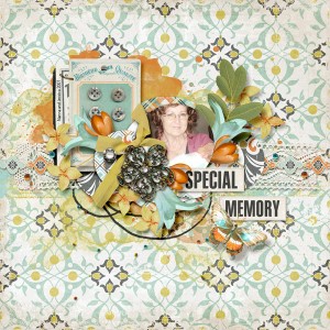 Special Memory