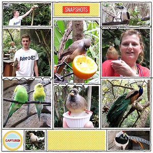 Fla. 2013 page 9