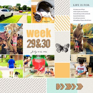 Week-29-_-30_-2015_-left