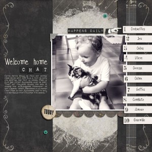 Welcome home Chat