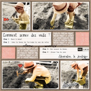 Comment semer des radis