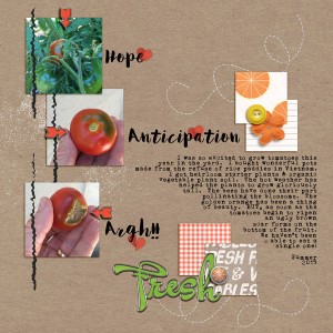 My Tomatoes