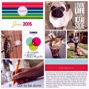 June 2015 left