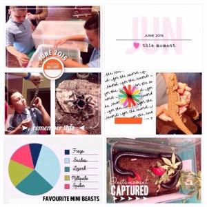The story June 2015 right