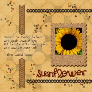 Sunflower