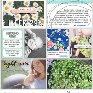 2015 week 29 - left side