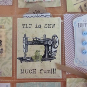 Pocket Letter for Nemla close up