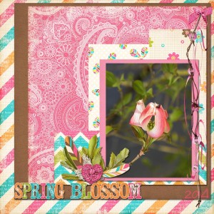 Spring Blossom