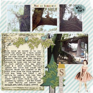 Twitchy and the Squirrel House