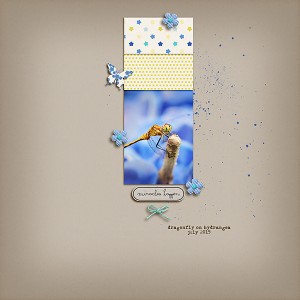 Blue Dragonfly