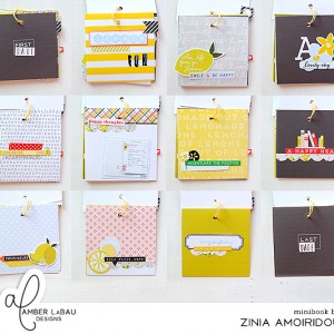 Decorative Minibook