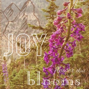 ATC--Joy