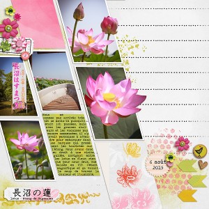 More lotus