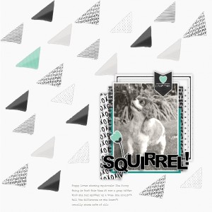 Squirrel