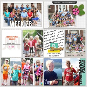 2015 week 26 - left side