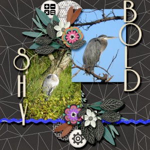 Tale of Two Herons
