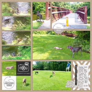 2015 WEEK 31: DOGS