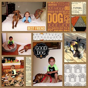 Josh_Dog2
