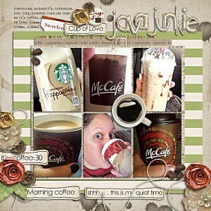 java junkie