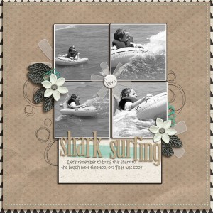 Shark Surfing