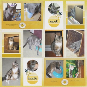 Life Is Better With Cats