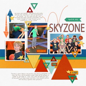 Sky Zone Birthday