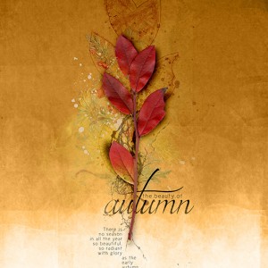 The Beauty of Autumn