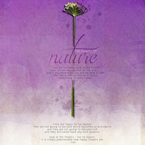 The Beauty of Nature