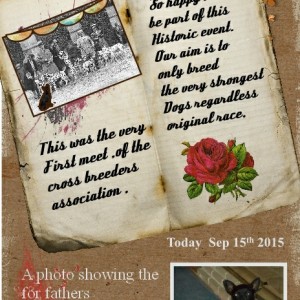 tall tale 1