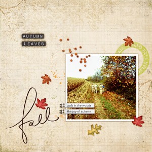 Fall Birding