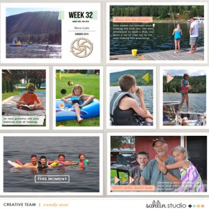 PL2015 - Week 32a