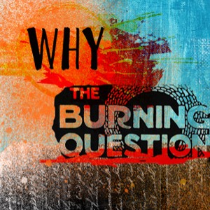 Imitating:  Why