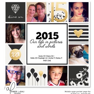 Cover 2015 Album part one