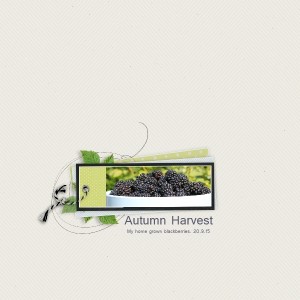 Blackberries