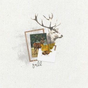 Autumn Stag