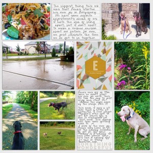 2015 week 36 right