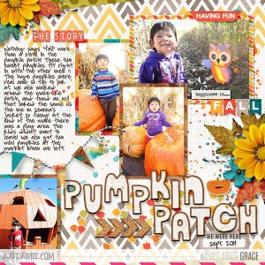 Pumpkin Patch