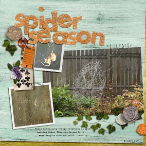 Spider Season
