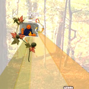 Fall
