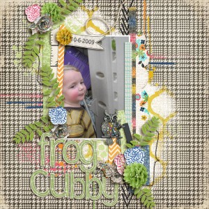 Frog Cubby