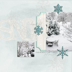 beautiful SNOW