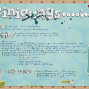 °cleaningguide°