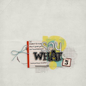Say What?