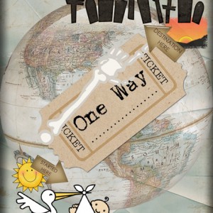 One Way Ticket