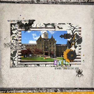 Asylum
