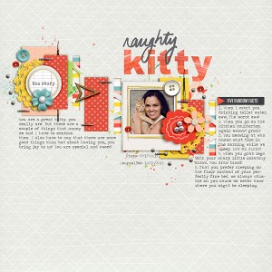 Naughty Kitten