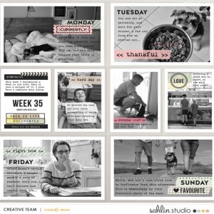 PL2015 - Week 35