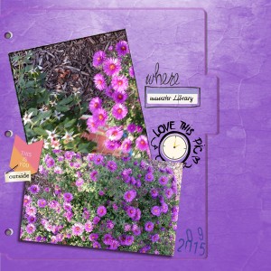 1509_mums