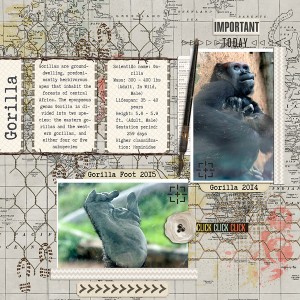 Gorilla